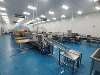 Industrial Food Grade Catfish Processing Line