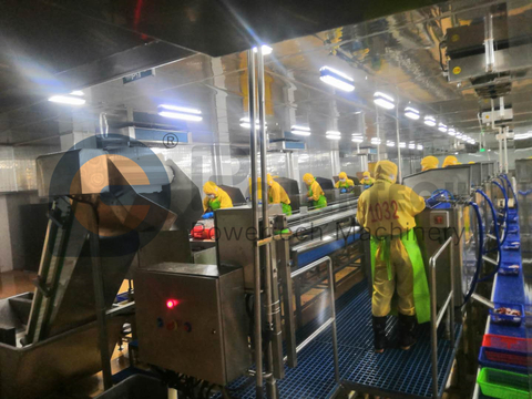 Automatic High Capacity Crayfish Processing Line