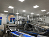 Customized Automatic Vannmei PUD Processing Line