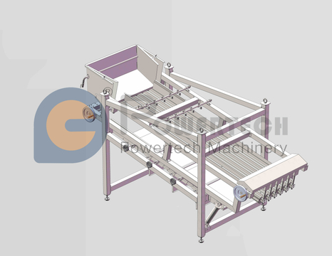 High Efficient Automatic Fish Grading Machine