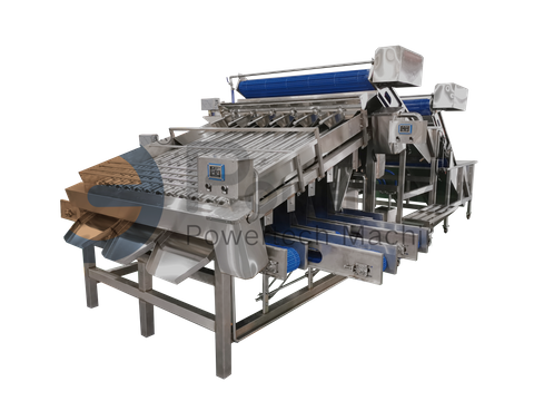 Multifunctional Automatic Shrimp Grading Machine