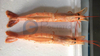 High Capacity Argetina Red Shrimp Peeling And Deveining Machine