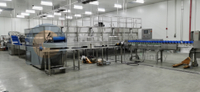 Multifunctional Stable Catfish Processing Line