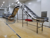 Customized Flexible Salmon Processing Line