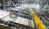 Convenient Maintenance Service Automatic Shrimp Peeling Production Line