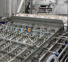 High Capacity Vanamei Shrimp Automatic Peeling Production Line