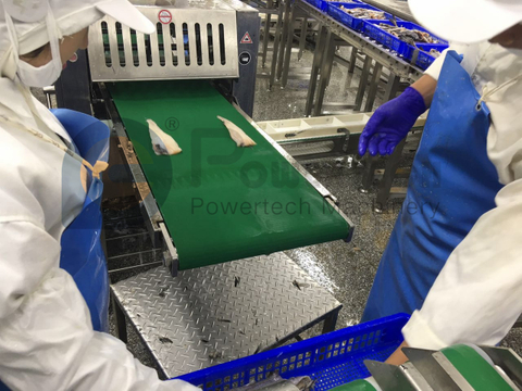 Pollock Automatic Fish Skinning Machine