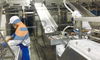 Flexible Automatic Fish Filleting Production Line