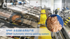 Cooked Head-on Shrimp Automatic Peeling Production Line