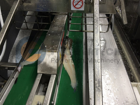 Easy Operation Automatic Fish Filleting Machine