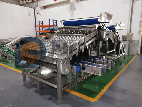 Intelligent Automatic Shrimp Grading Machine