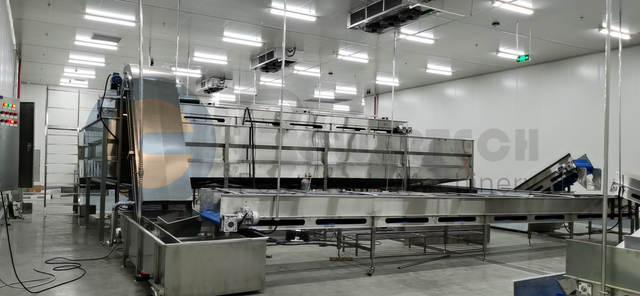 Automatic Catfish Total Solution Line