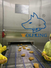 High Capacity Industrial Food Grade Spiral Freezer
