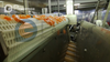 Cooked Head-on Shrimp Automatic Peeling Production Line
