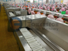 Lowest Operation Cost And High Profitablity Shrimp Peeling And Deveining Machine