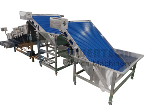 High Efficient Automatic Shrimp Grading Machine