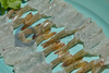 Multifunctional Stable Restaurant Shrimp Peeling And Deveining Machine