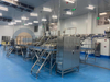 Full Automatic Easy Operation Vannmei PUD Processing Line