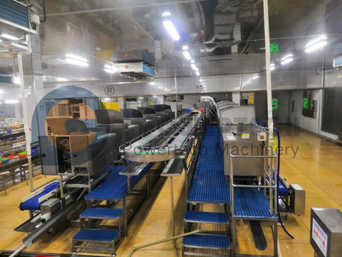 Customized Automatic Crayfish Processing Line
