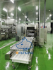 Safety And Hygiene Fryer For Food Processing