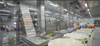 Multifunctional Stable Automatic Shrimp Peeling Production Line