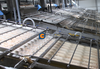 High Efficient High Profitability Automatic Shrimp Peeling Production Line