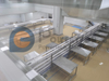 Food Safety Hygiene Salmon Processing Line
