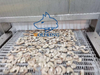 High Capacity Industrial Food Grade Spiral Freezer