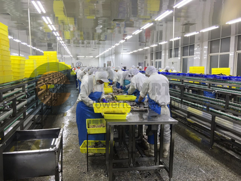 Lowest Operation Cost Automatic Fish Deep Skinning Machine