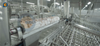 Convenient Maintenance Service Automatic Shrimp Peeling Production Line