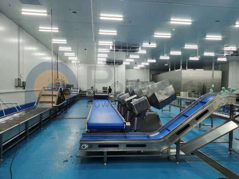 High Capacity Automatic Catfish Processing Line