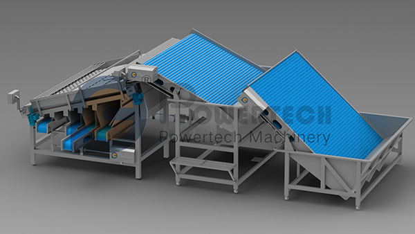 High Capacity Automatic Shrimp Grading Machine