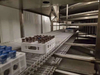 Diversified Control Mode and Configuration Spiral Freezer