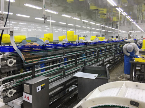 Lowest Operation Cost Automatic Fish Filleting Machine