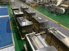 Food Safety Hygiene Automatic Crayfish Processing Line