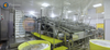 High Capacity Vanamei Shrimp Automatic Peeling Production Line