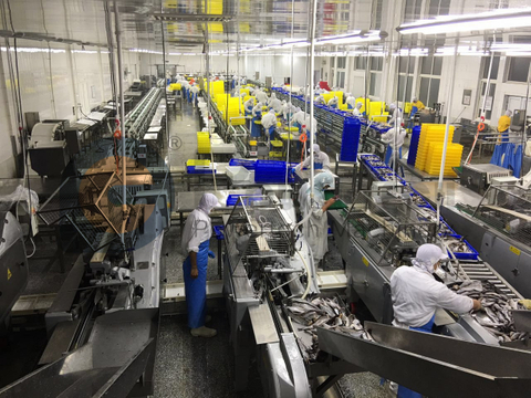 High Profitability Automatic Fish Filleting Machine