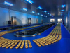 Customized Automatic Bakery Food Processing Line