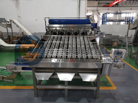 Easy Operation Automatic Shrimp Grading Machine