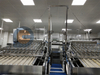 Food Safety Hygiene Automatic Vannamei PUD Processing Line