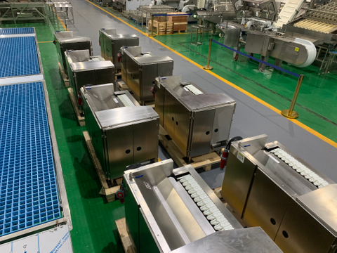 Multifunctional Automatic Crayfish Processing Line