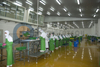 Automatic Easy Operation Salmon Processing Line