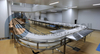 Multifunctional Stable Salmon Processing Line