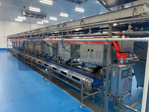Automatic High Capacity Vannmei Deveining Processing Line