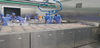 Automatic High Quality Tunnel Freezer
