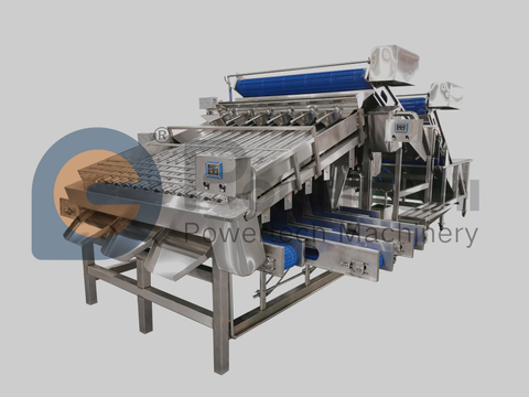 High Profitablity Automatic Shrimp Grading Machine