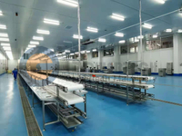 Food Safety Hygiene Catfish Processing Line