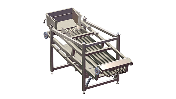 High Capacity Automatic Fish Grading Machine