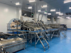 Full Automatic Easy Operation Vannmei PUD Processing Line