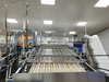 Customized Automatic Vannmei PUD Processing Line